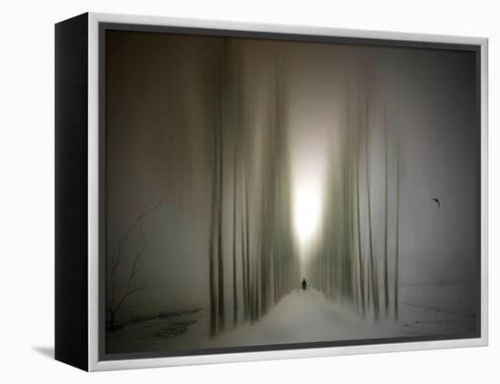 The Avenue-Josh Adamski-Framed Premier Image Canvas