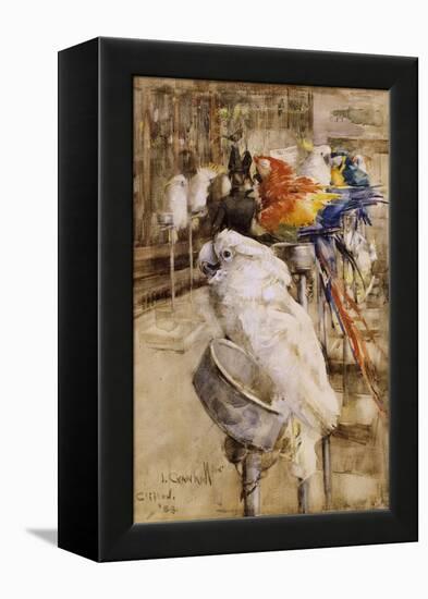 The Aviary, Clifton, 1888-Joseph Crawhall-Framed Premier Image Canvas