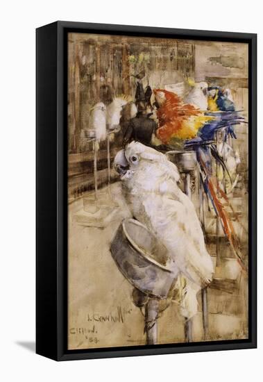 The Aviary, Clifton, 1888-Joseph Crawhall-Framed Premier Image Canvas
