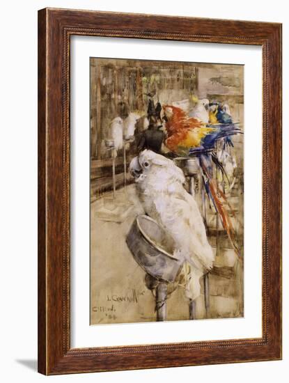 The Aviary, Clifton, 1888-Joseph Crawhall-Framed Giclee Print