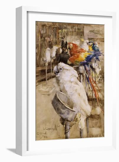 The Aviary, Clifton, 1888-Joseph Crawhall-Framed Giclee Print