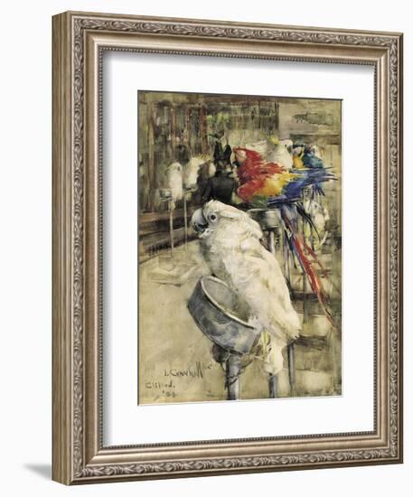 The Aviary, Clinton-Joseph Crawhall-Framed Premium Giclee Print