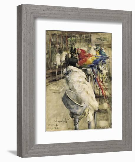 The Aviary, Clinton-Joseph Crawhall-Framed Premium Giclee Print