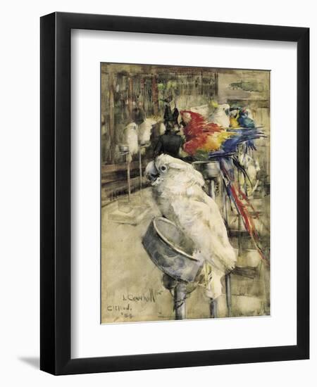 The Aviary, Clinton-Joseph Crawhall-Framed Premium Giclee Print