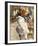 The Aviary, Clinton-Joseph Crawhall-Framed Premium Giclee Print