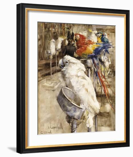 The Aviary, Clinton-Joseph Crawhall-Framed Premium Giclee Print