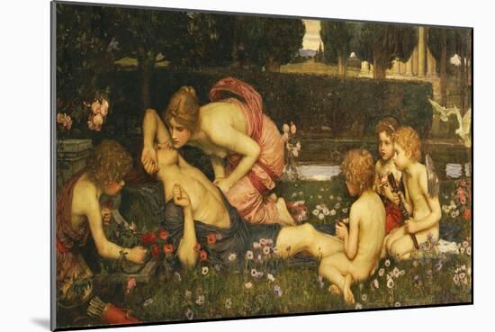 The Awakening of Adonis, 1899 (Oil on Canvas)-John William Waterhouse-Mounted Giclee Print