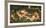 The Awakening-John William Waterhouse-Framed Giclee Print