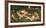 The Awakening-John William Waterhouse-Framed Giclee Print