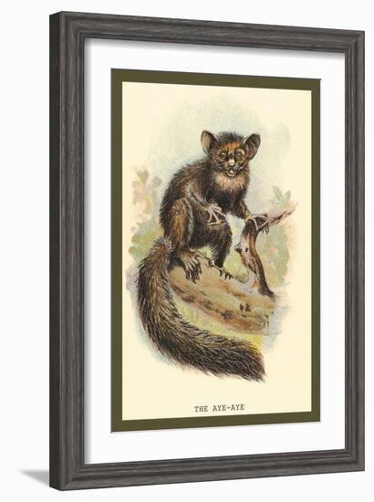 The Aye-Aye-Sir William Jardine-Framed Art Print