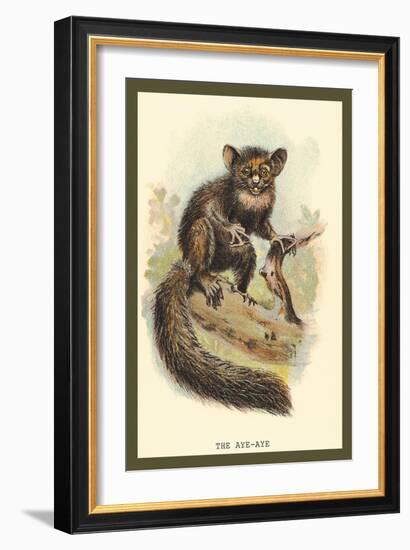 The Aye-Aye-Sir William Jardine-Framed Art Print