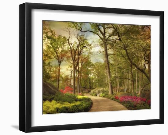 The Azalea Garden-Jessica Jenney-Framed Photographic Print