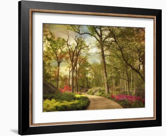 The Azalea Garden-Jessica Jenney-Framed Photographic Print