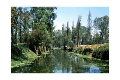 The Aztec Canals At The Floating Gardens Of Xochimilco Giclee