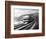 The B&O 80-L.W. Sagle-Framed Giclee Print