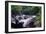 The Babinda Boulders Is a Fast-Flowing River Surrounded by Smooth Boulders, Queensland, Australia-Paul Dymond-Framed Photographic Print