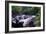 The Babinda Boulders Is a Fast-Flowing River Surrounded by Smooth Boulders, Queensland, Australia-Paul Dymond-Framed Photographic Print