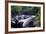 The Babinda Boulders Is a Fast-Flowing River Surrounded by Smooth Boulders, Queensland, Australia-Paul Dymond-Framed Photographic Print