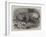The Babirussa, Recently Added to the Zoological Society's Gardens, Regent's Park-Johann Baptist Zwecker-Framed Giclee Print