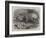 The Babirussa, Recently Added to the Zoological Society's Gardens, Regent's Park-Johann Baptist Zwecker-Framed Giclee Print