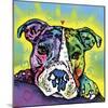The Baby Pit Bull, Dogs, Pets, Animals,Baby, Pit bulls, Yellow glow, Star burst, Rays, white snout-Russo Dean-Mounted Giclee Print