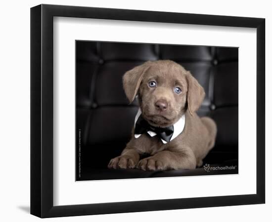 The Bachelor-Rachael Hale-Framed Photographic Print