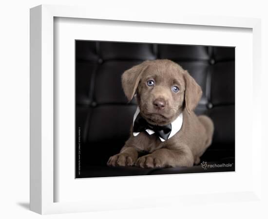 The Bachelor-Rachael Hale-Framed Photographic Print