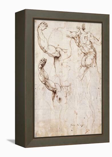 The Back of a Nude and Two Studies of a Raised Arm and Shoulder, Seen from the Front-Perino Del Vaga-Framed Premier Image Canvas