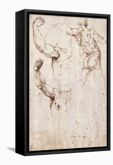 The Back of a Nude and Two Studies of a Raised Arm and Shoulder, Seen from the Front-Perino Del Vaga-Framed Premier Image Canvas