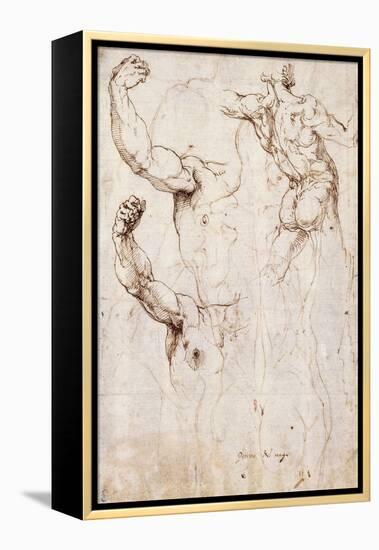 The Back of a Nude and Two Studies of a Raised Arm and Shoulder, Seen from the Front-Perino Del Vaga-Framed Premier Image Canvas