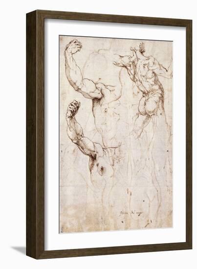 The Back of a Nude and Two Studies of a Raised Arm and Shoulder, Seen from the Front-Perino Del Vaga-Framed Giclee Print