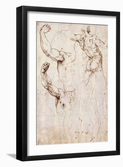 The Back of a Nude and Two Studies of a Raised Arm and Shoulder, Seen from the Front-Perino Del Vaga-Framed Giclee Print