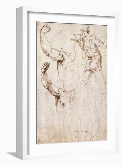 The Back of a Nude and Two Studies of a Raised Arm and Shoulder, Seen from the Front-Perino Del Vaga-Framed Giclee Print