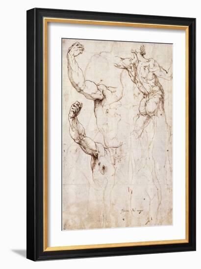 The Back of a Nude and Two Studies of a Raised Arm and Shoulder, Seen from the Front-Perino Del Vaga-Framed Giclee Print