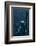 The Back of the Statue of Liberty-Dirck Halstead-Framed Photographic Print