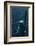 The Back of the Statue of Liberty-Dirck Halstead-Framed Photographic Print