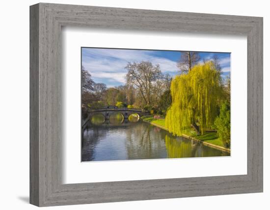 The Backs, River Cam, Cambridge, Cambridgeshire, England, United Kingdom, Europe-Alan Copson-Framed Photographic Print