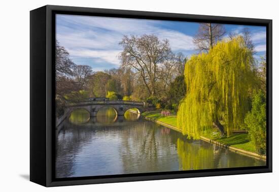 The Backs, River Cam, Cambridge, Cambridgeshire, England, United Kingdom, Europe-Alan Copson-Framed Premier Image Canvas