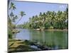 The Backwaters at Chavara, Kerala State, India, Asia-Jenny Pate-Mounted Photographic Print