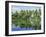 The Backwaters Near Kumarakom, Kerala State, India, Asia-Jenny Pate-Framed Photographic Print