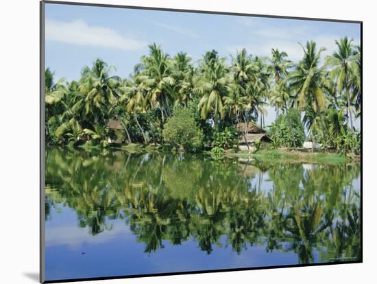 The Backwaters Near Kumarakom, Kerala State, India, Asia-Jenny Pate-Mounted Photographic Print