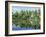 The Backwaters Near Kumarakom, Kerala State, India, Asia-Jenny Pate-Framed Photographic Print