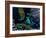 The Bahamas, Florida, and Cuba-Stocktrek Images-Framed Photographic Print