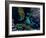 The Bahamas, Florida, and Cuba-Stocktrek Images-Framed Photographic Print