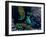 The Bahamas, Florida, and Cuba-Stocktrek Images-Framed Photographic Print