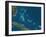 The Bahamas, Satellite Image-null-Framed Photographic Print