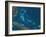 The Bahamas, Satellite Image-null-Framed Photographic Print