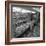 The Bakery Counter at the Asda Supermarket in Rotherham, South Yorkshire, 1969-Michael Walters-Framed Photographic Print