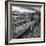 The Bakery Counter at the Asda Supermarket in Rotherham, South Yorkshire, 1969-Michael Walters-Framed Photographic Print