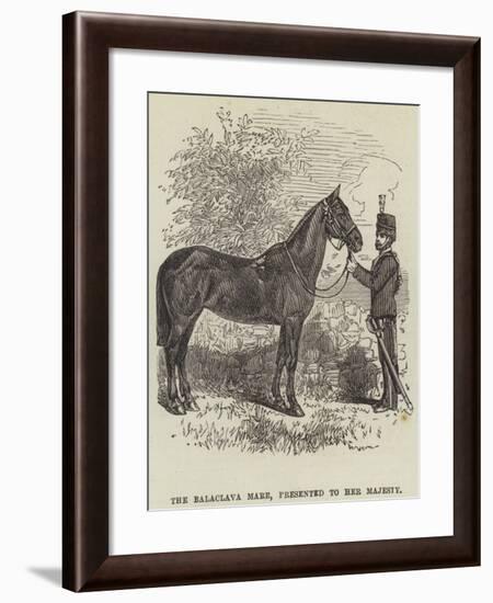 The Balaclava Mare, Presented to Her Majesty-null-Framed Giclee Print